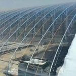 7 Simple Steps to Build Greenhouse: Create Your Dream Space! 1 Greenhouse contrcution