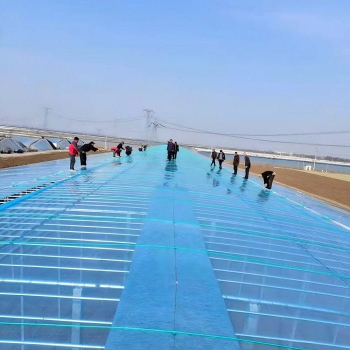 greenhouse construction