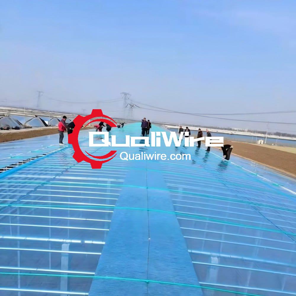 Greenhouse Film, PO/PE/PP Covering Plastic Film for Greenhouse 3 greenhouse construction