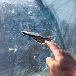 How to Repair a Torn Greenhouse Plastic Film 1 Repair a Torn Greenhouse Plastic Film