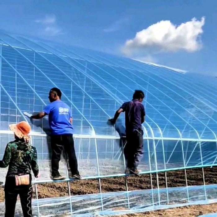 Greenhouse construction with Light-converting Plastic Sheeting For Greenhouse