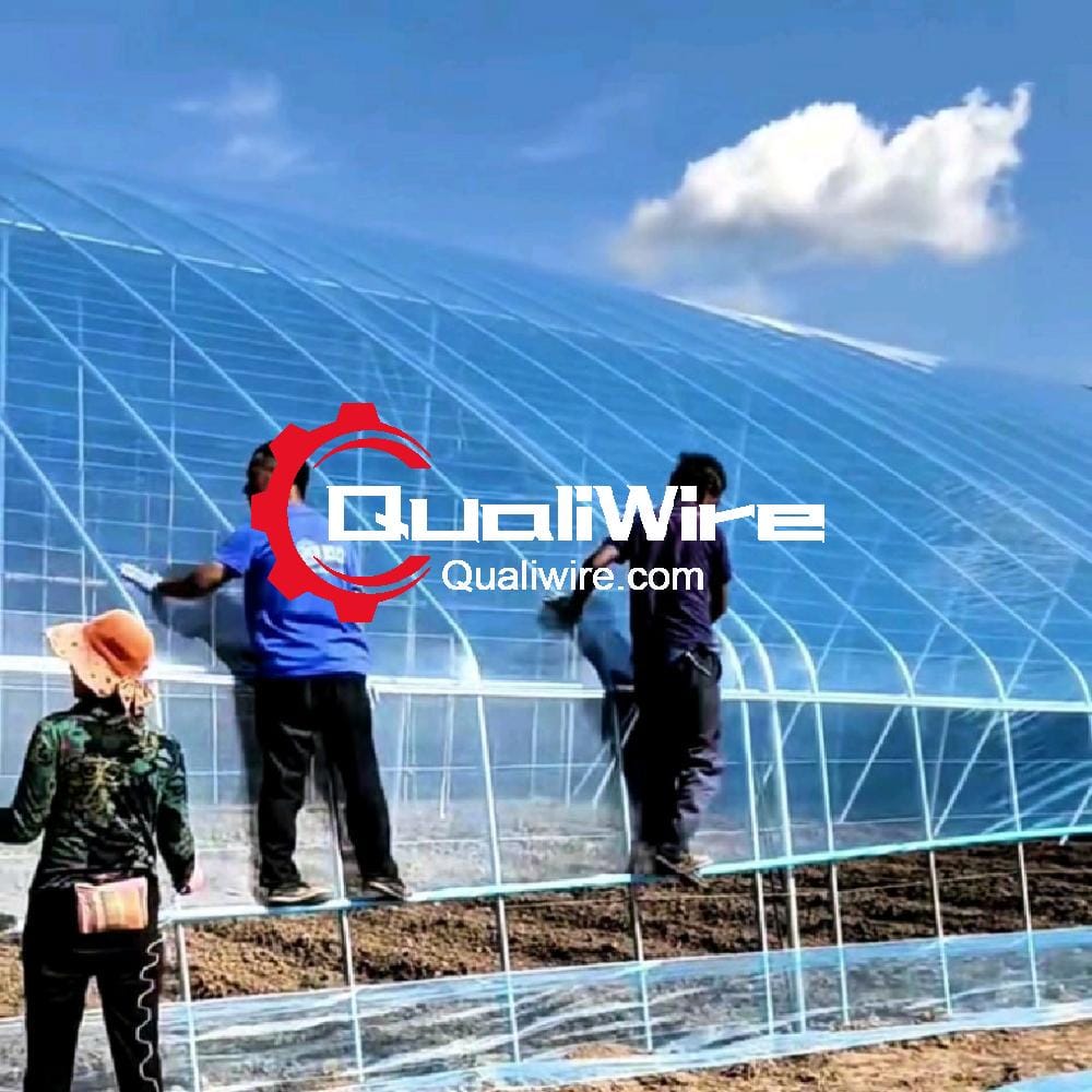 Light-converting Plastic Sheeting For Greenhouse,Anti-UV,Anti-drip,Clear,6,8,10mil Thick Film 2 Greenhouse construction with Light-converting Plastic Sheeting For Greenhouse