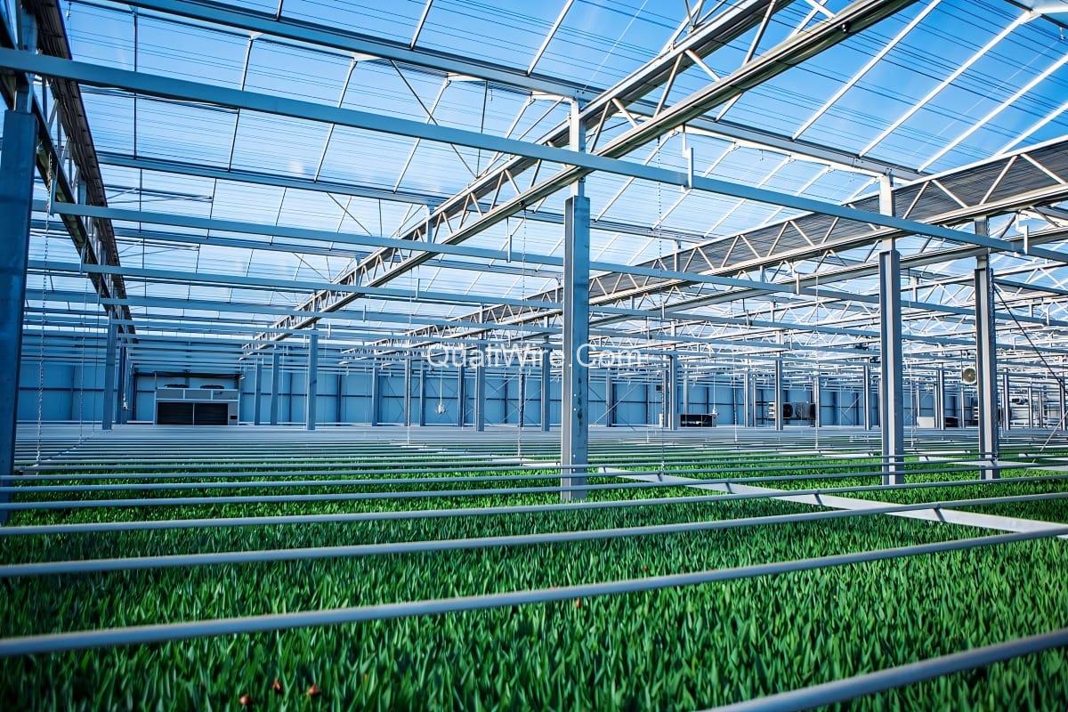 The Budget for Building a Greenhouse 4 Multi-span film greenhouse