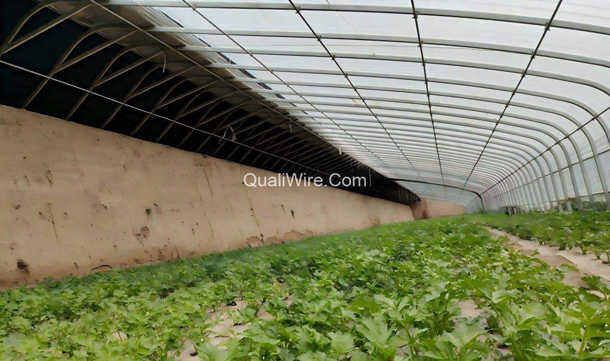 The Budget for Building a Greenhouse 3 Solar greenhouse