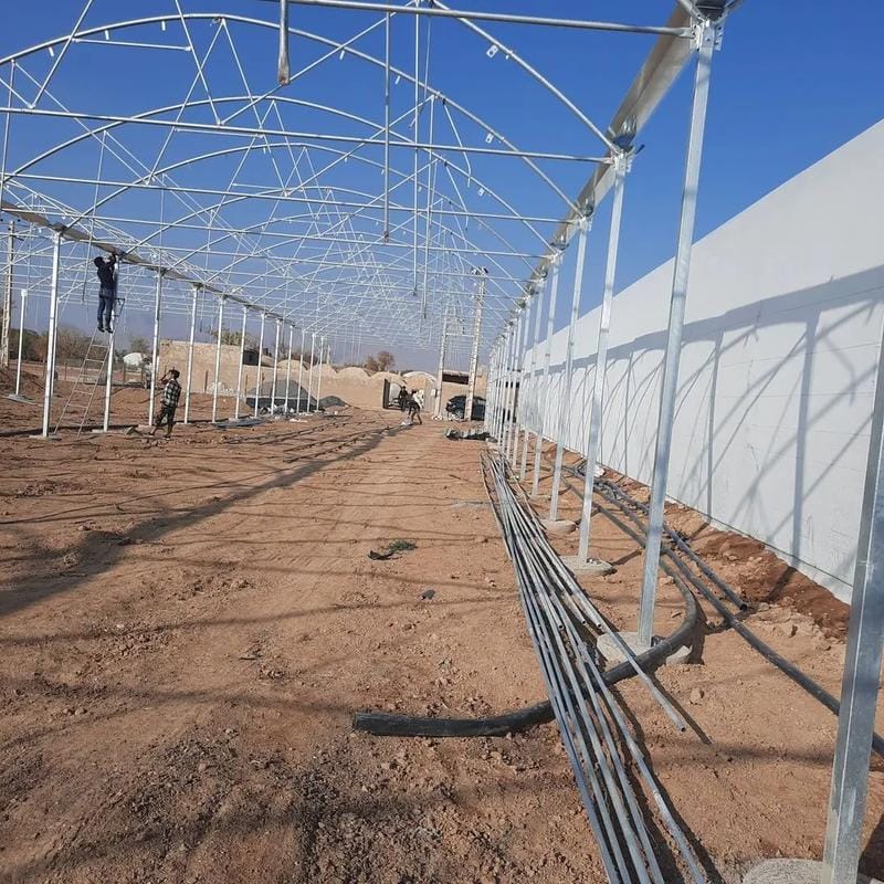 7 Simple Steps to Build Greenhouse: Create Your Dream Space! 3 Building a Greenhouse