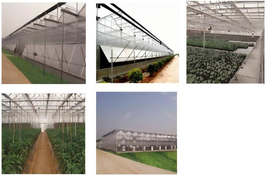 There are mainly 4 types of greenhouse 3 PC Panel Greenhouse