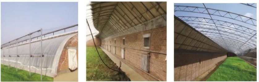 There are mainly 4 types of greenhouse 5 Solar Greenhouse